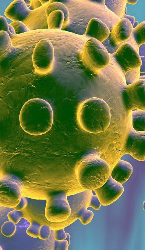 Коронавирус. Важно знать. 