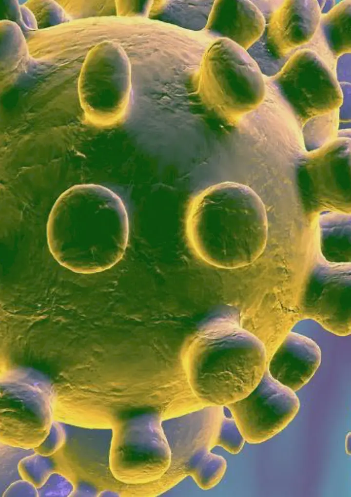 Коронавирус. Важно знать. 